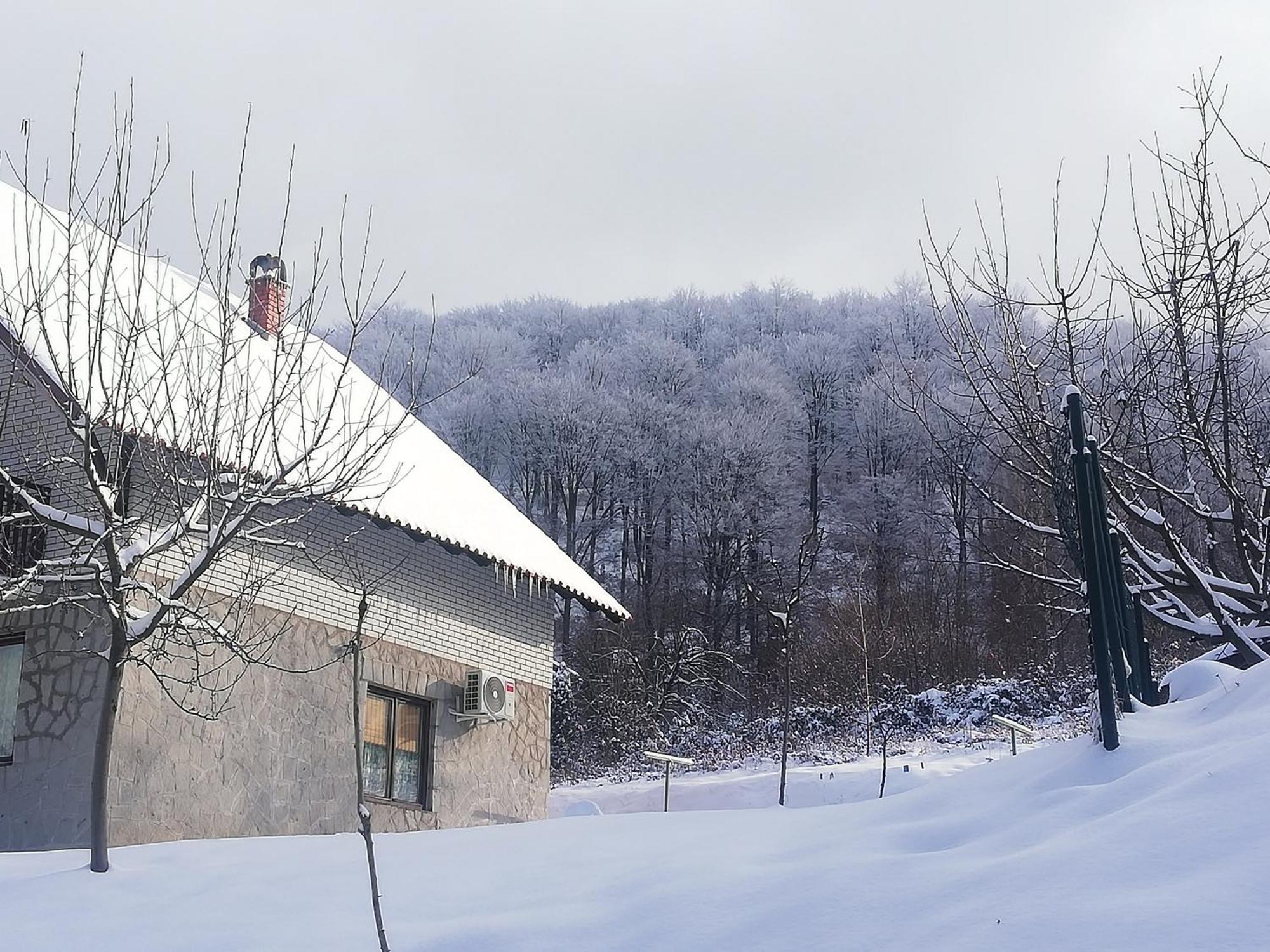 Vikend Kuca Ivkovic Villa Rudnik Exterior photo